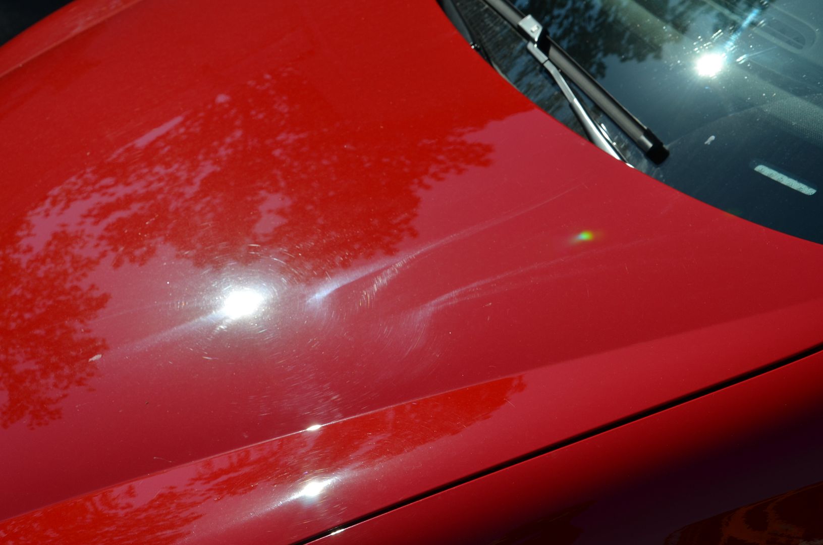 New Car Paint Correction and Opti Coat install on VW Golf R Detailer